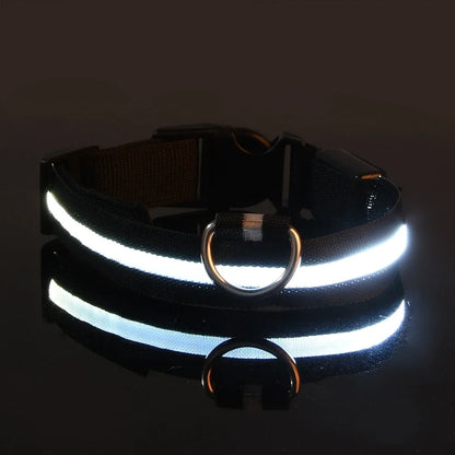 GlowPup Halo