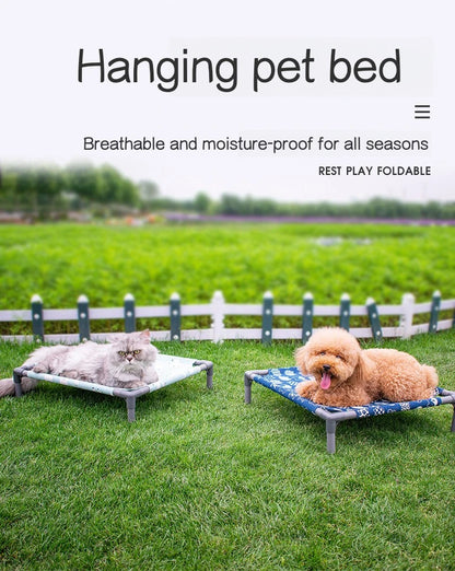 Elevated Comfort for Pets On the Go