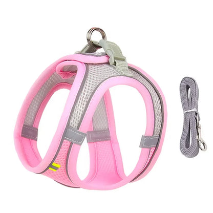 AdventurePaw: Adjustable Cat Harness and Leash Set