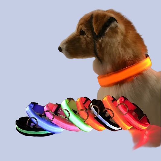 GlowPup Halo