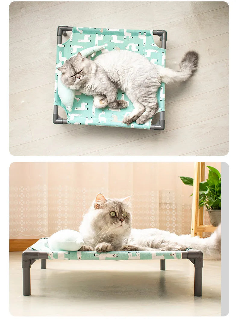 Elevated Comfort for Pets On the Go