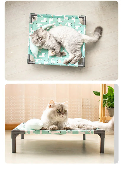 Elevated Comfort for Pets On the Go