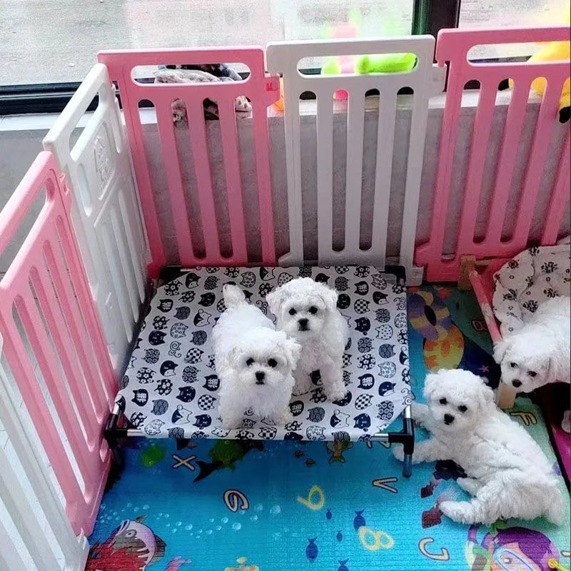 The Elevated Hideaway for Cool Cats & Dogs