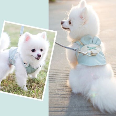 Small white dog wearing cute blue harness with bow – XPetShop

