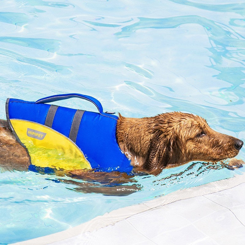 Pet Reflective Life Jacket – Secure Swim for Dogs of All Sizes