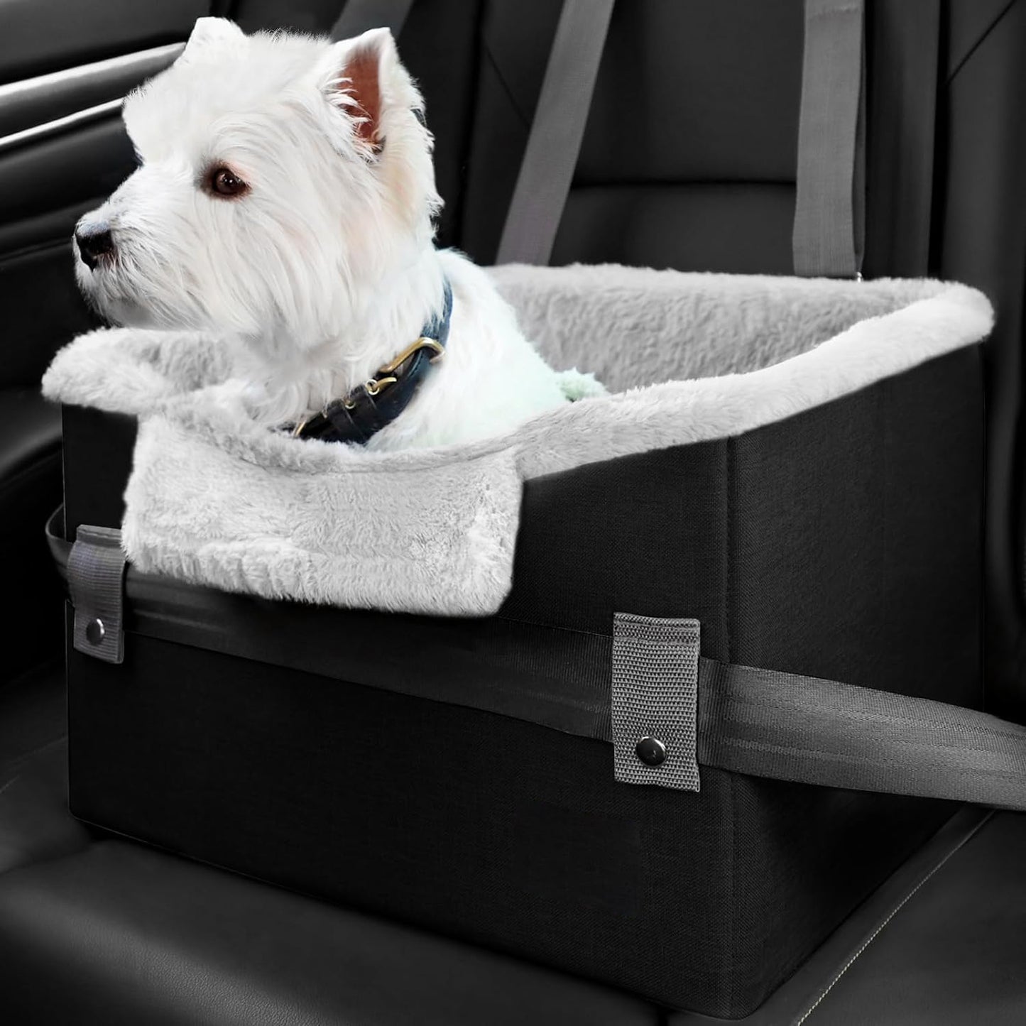 Portable Small Dog Car Seat – Dog Booster Seat for Travel with Clip-On Safety Leash