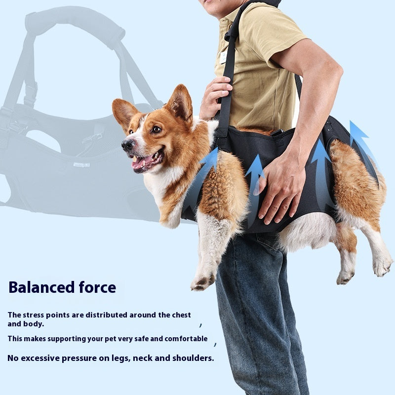 Full-Body Lift Harness for Dogs – Injury Recovery & Elderly Support