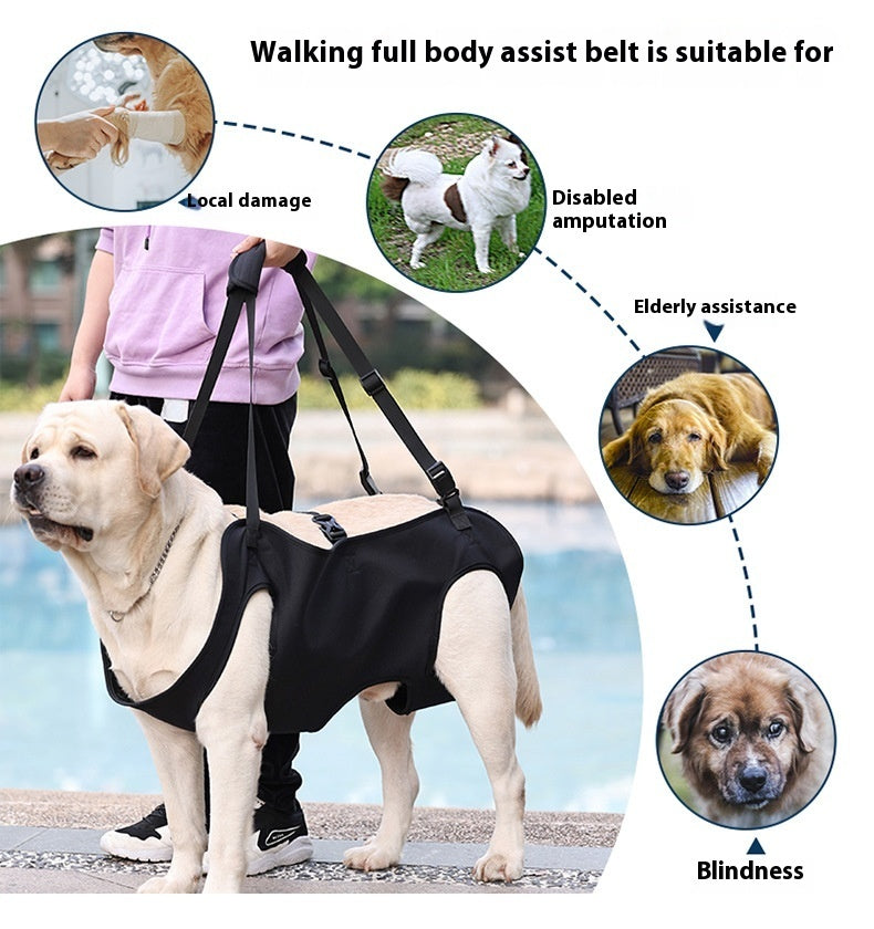 Full-Body Lift Harness for Dogs – Injury Recovery & Elderly Support